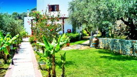 Villa's garden